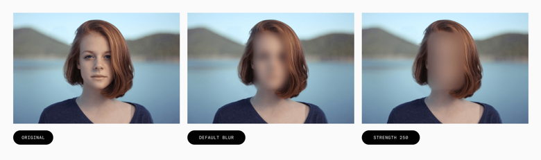 blur intensity examples blur intensity examples