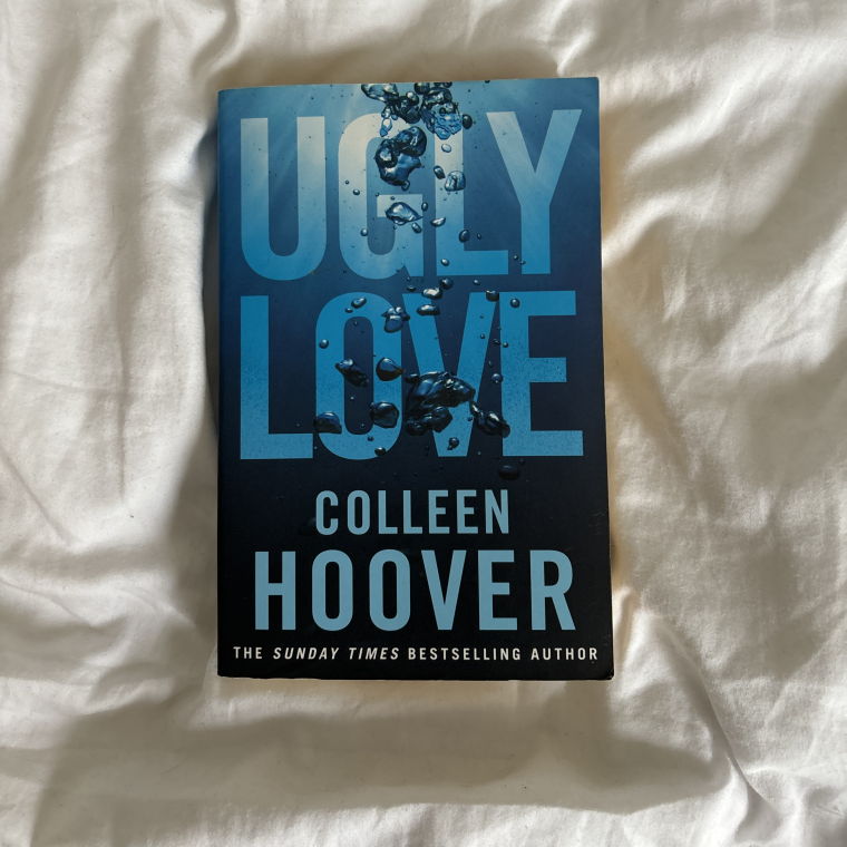 english novel ugly love 