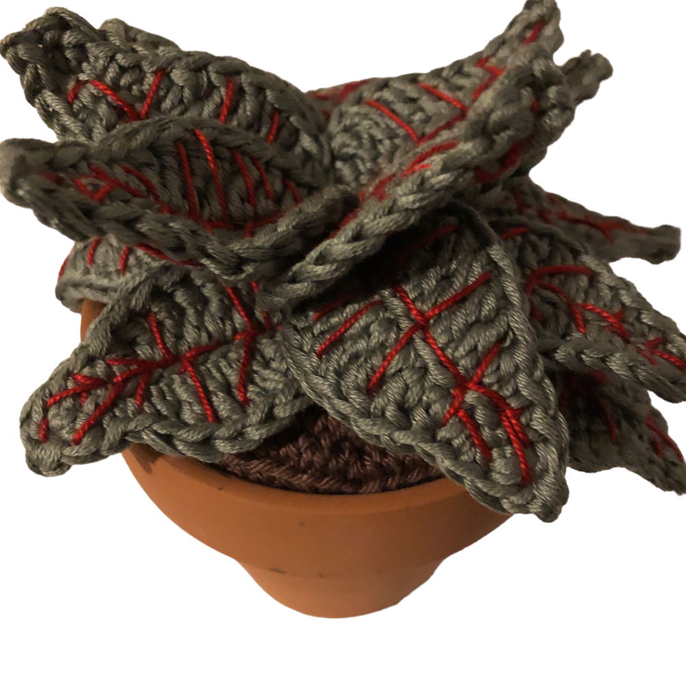 Mosaic plant crochet pattern - Fittonia Albivensis