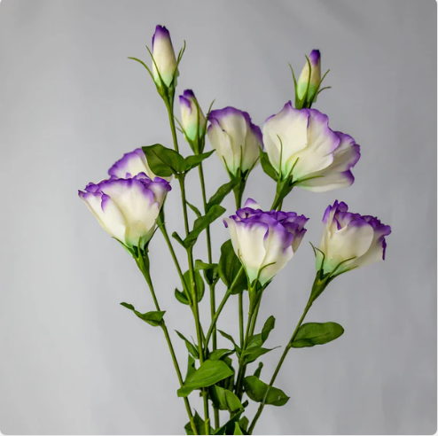 Purple Lisianthus - Realistic Artificial Flowers