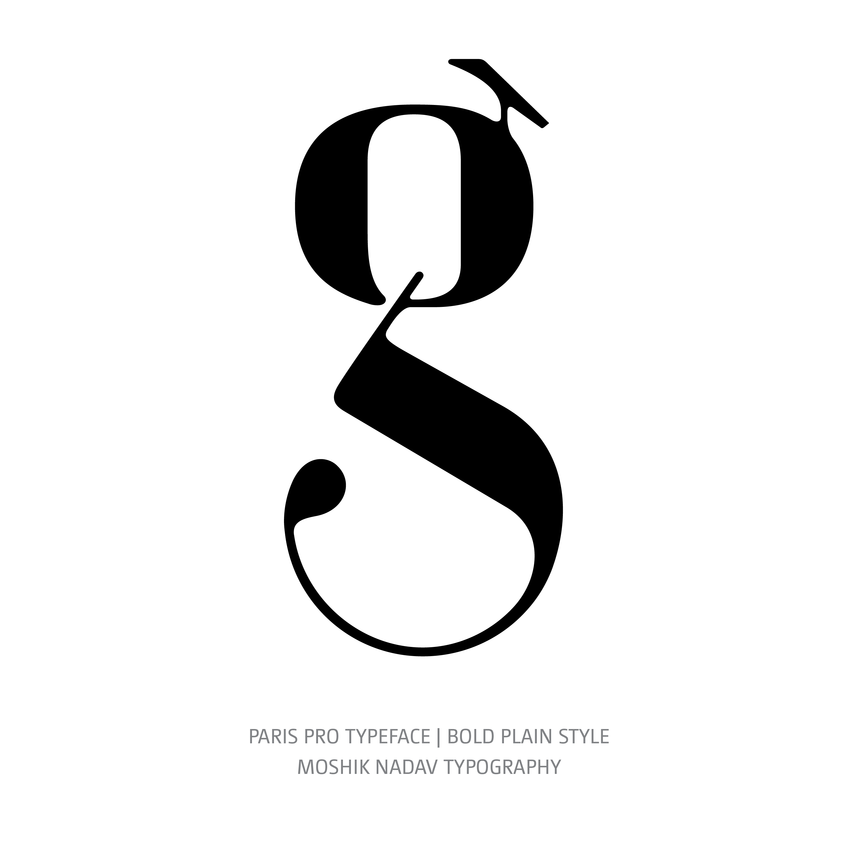 Paris Pro Typeface Regular Bold g