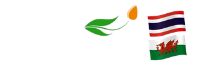 Logo - Thai Tulip Cafe