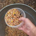 wheat_flaxseed_sunflower_more__fermented_feed