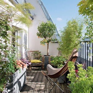 Terrace Fund