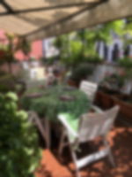 Home restaurants Venice: Venice seafood secrets