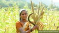 Naturally Grown Nutritious Millets from the Drought Prone Region of Anantpur