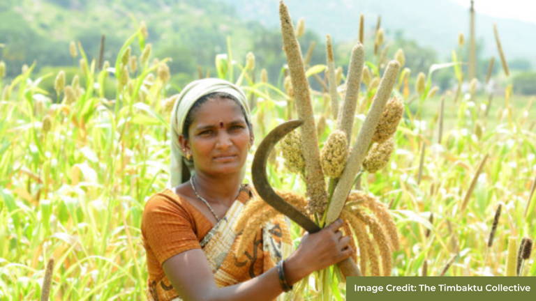 Naturally Grown Nutritious Millets from the Drought Prone Region of Anantpur