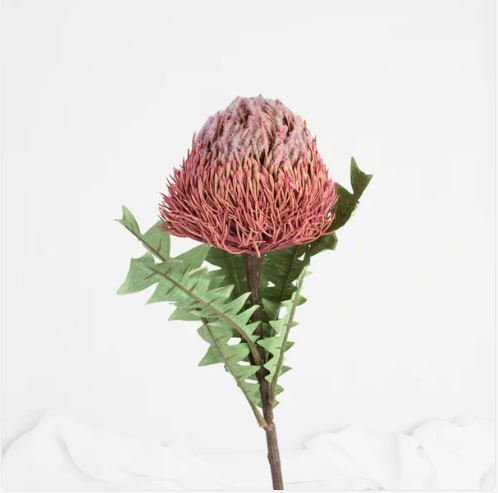 Banksia Baxteri Dusty Pink- Realistic Artificial Flowers