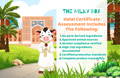 Depending on the certification standard, an assessment may verify that: | The Milky Box