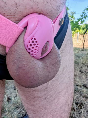 HTV4 Plastic chastity