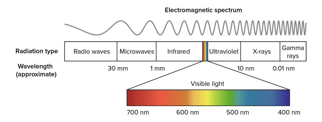 The electromagnetic spectrum is the entire range  of  wavelengths of electromagnetic radiation. A longer wavelength is associated with lower energy and a shorter wavelength is associated with higher energy. The types of radiation on the spectrum, from longest wavelength to shortest, are: radio, microwave, infrared, visible, ultraviolet, X-ray, and gamma ray. Visible light is composed of different colors, each having a different wavelength and energy level.  The colors, from longest wavelength to shortest, are: red, orange, yellow, green, blue, indigo, and violet.