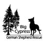 Big cypress German shepherd Rescue logo
