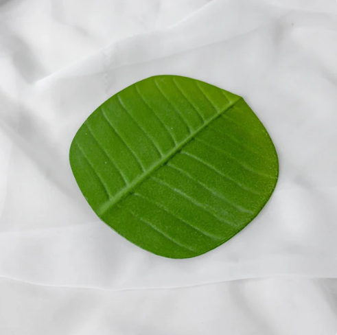 Banana Leaf Coaster (6 Pack) - Realistic Artificial Flowers and Greenery