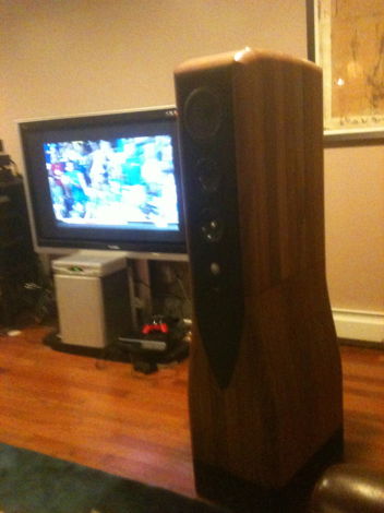 225 pounds each of beautiful solid walnut , one of the best speakers in the world regardless of price.