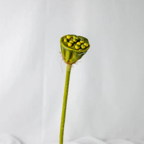 Lotus Pod - Realistic Artificial Flowers and Greenery - Image 3