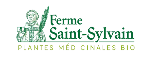 Tisane de Menthe poivrée Bio – Ferme Saint Sylvain