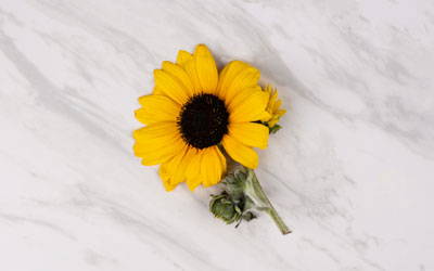 Organic Cold-Pressed Sunflower Seed Oil