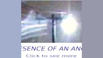 Main Content Image