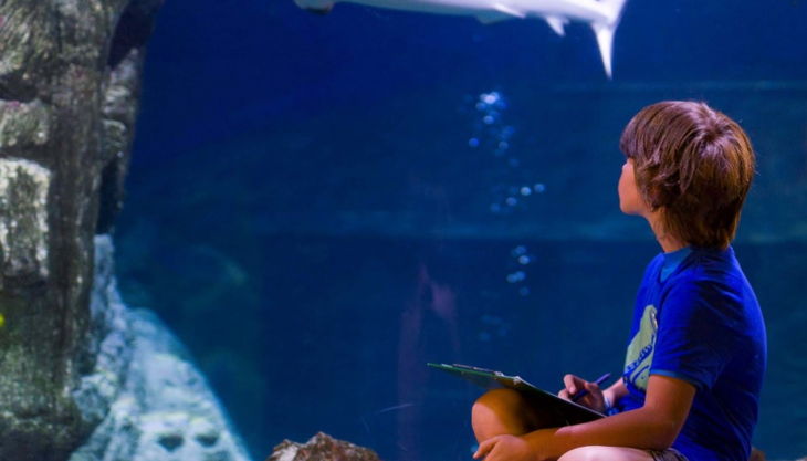 Geburtstagspaket Sea Life Munchen