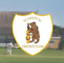 Warwick Cricket Club logo