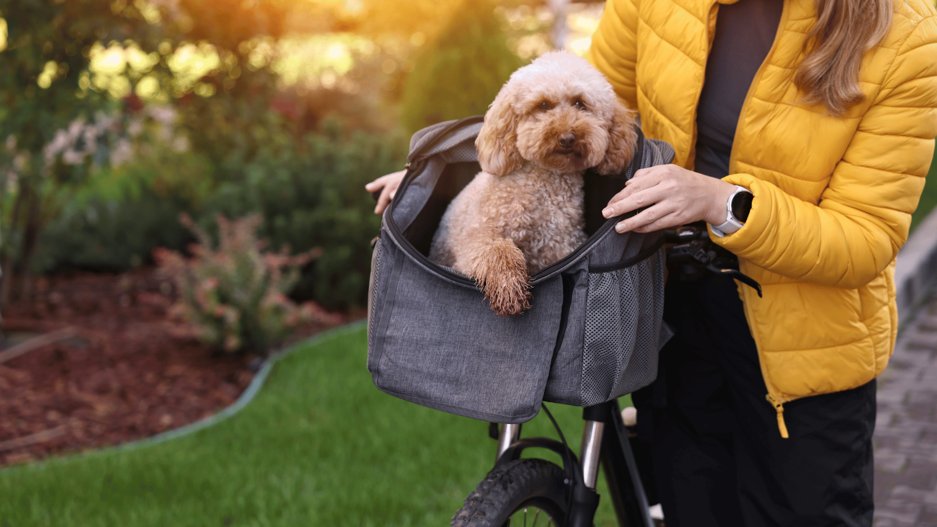 elektrische fiets met hond