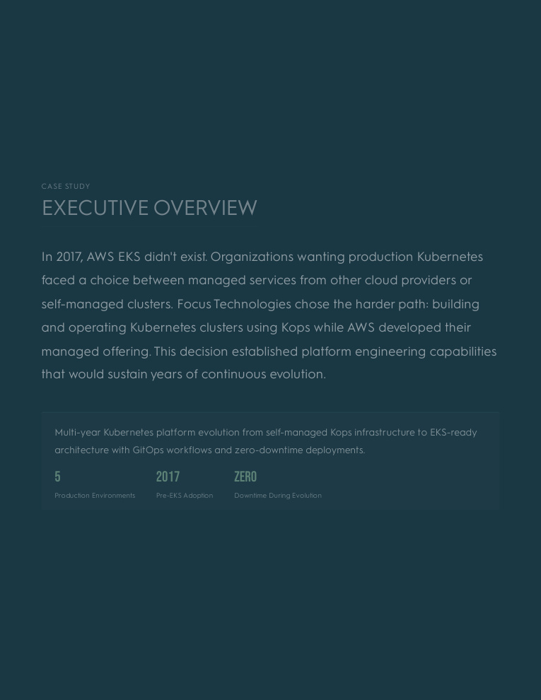 Government it projects developers developer - Matt M.'s portfolio image