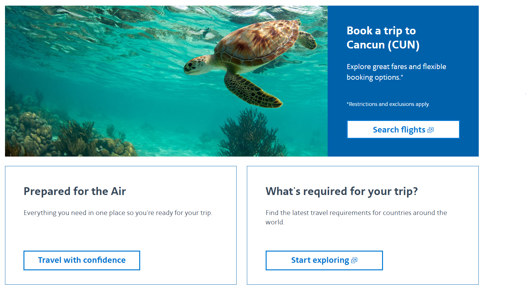 American Airlines product / service