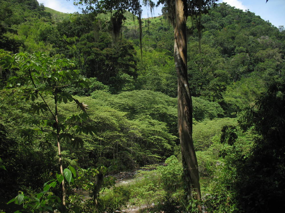Mountains of the Sierra de Agalta coffee region in northeastern Honduras