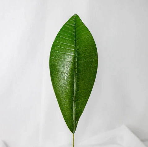 Pointed Frangipani Leaf (12 Pack) - Realistic Artificial Flowers and Greenery - Image 4