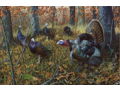 Gobbling Turkey with Hens-Patrick Gibbs Framed Canvas