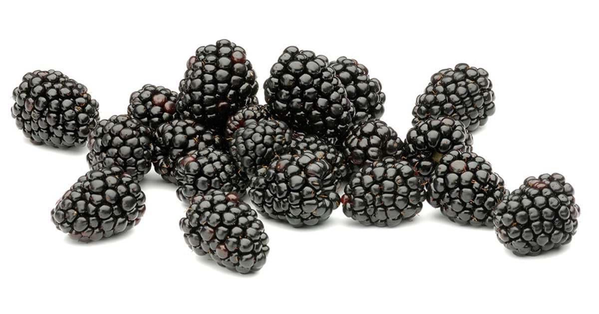 blackberries are a choking hazard for dogs