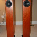 Totem Acoustic Arro  - Cherry and Perfect