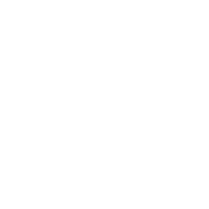 Cornea Revolution Research