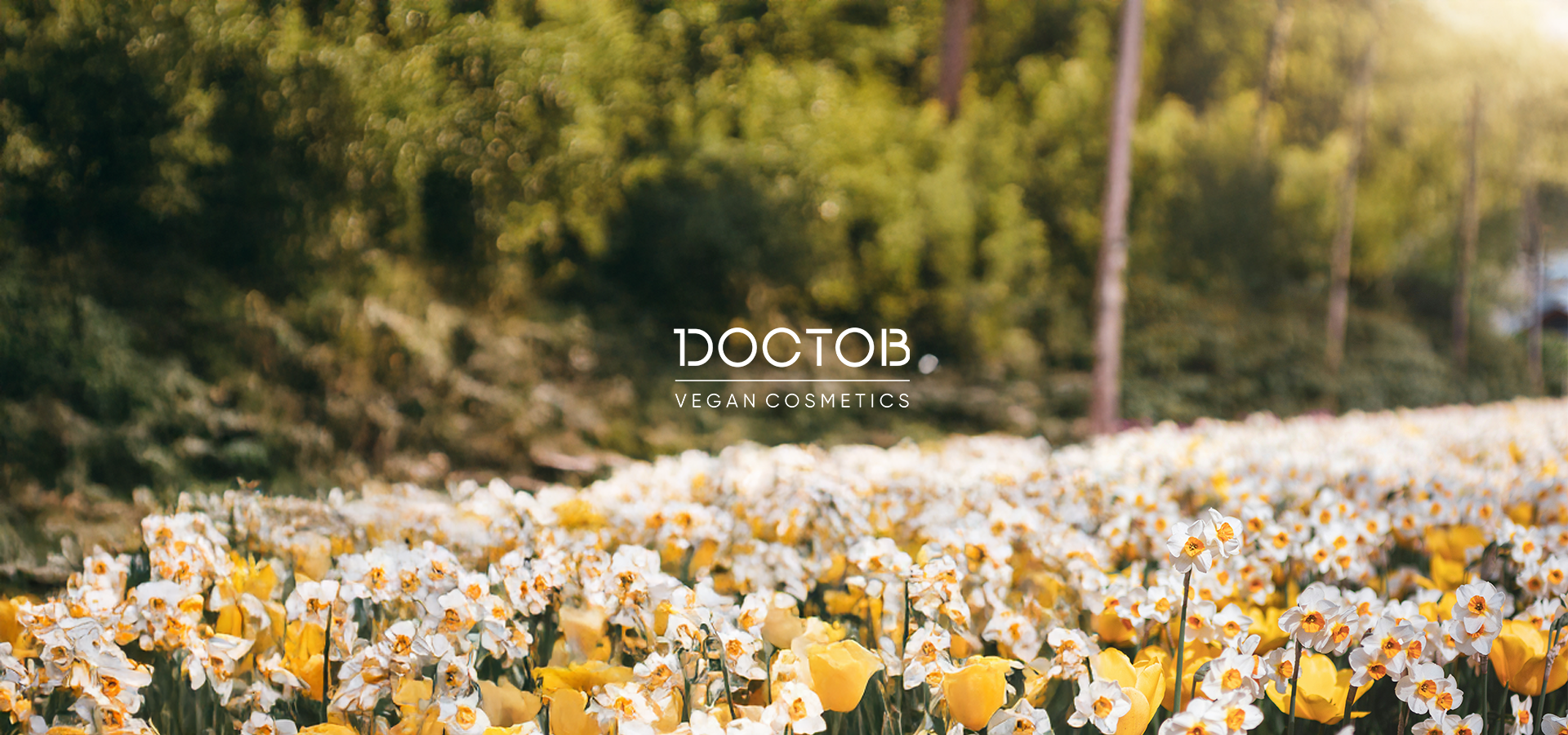 DOCTOB cover