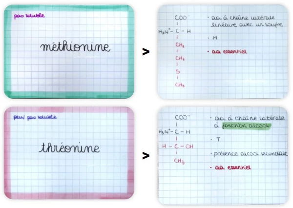 flashcards en PASS biochimie