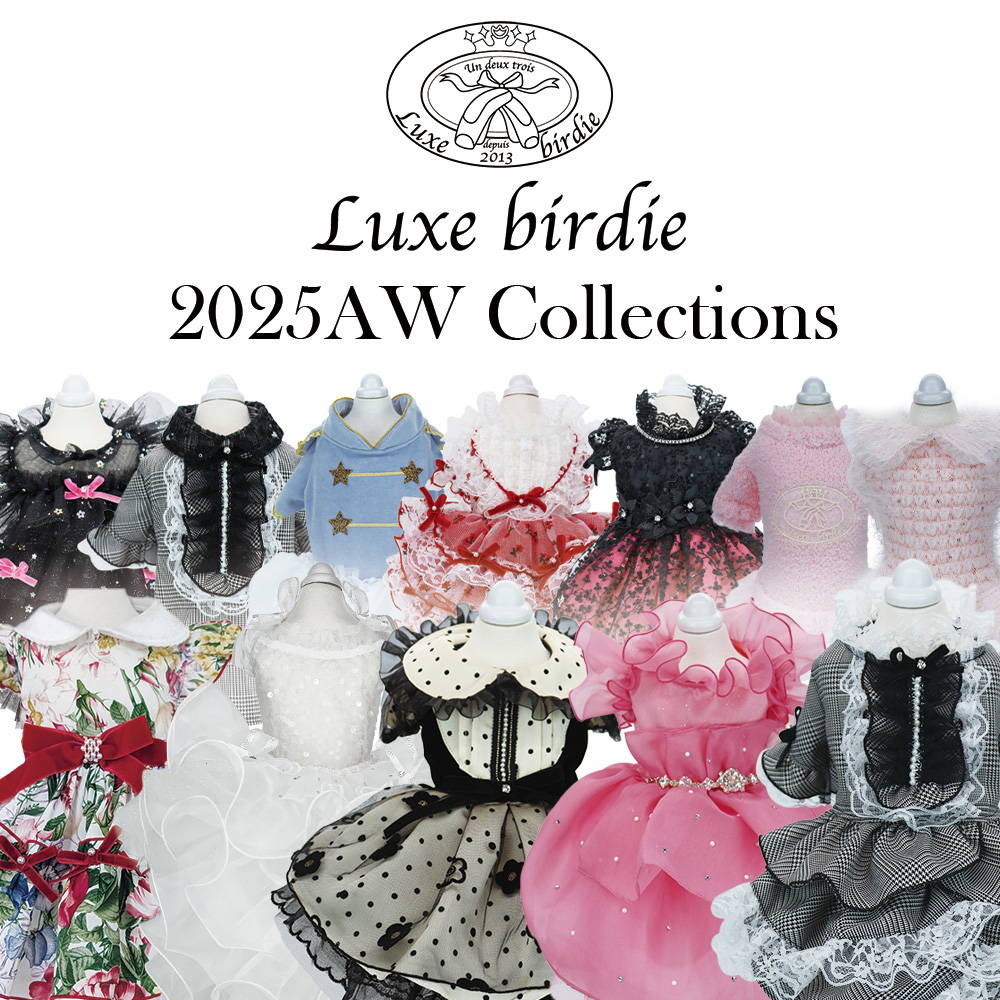 Luxe birdie プレイドデニムスカート レッド リュクスバーディ Luxe birdie プレイドデニムスカート レッド リュクスバーディ