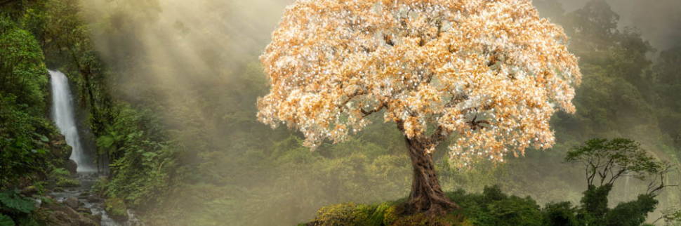 Banner image featuring an image of the tree of life. It is covered in gold and white leaves.