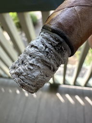 Cigar Session Photo