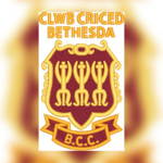 Bethesda Cricket Club Logo