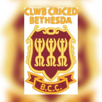 Bethesda Cricket Club Cricket Club Logo