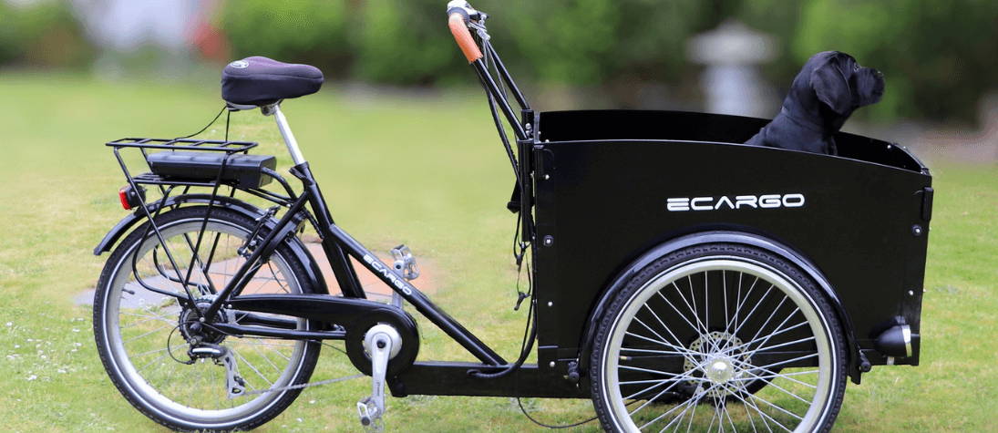 Electric cargo bike refurbished with front carrying case.