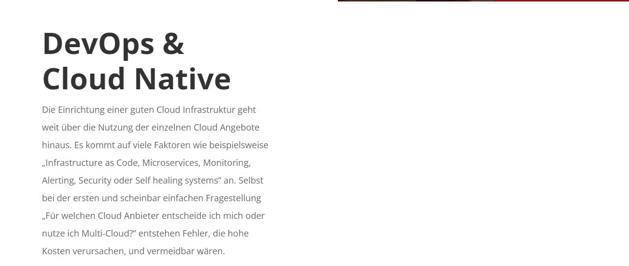 iits-consulting product / service