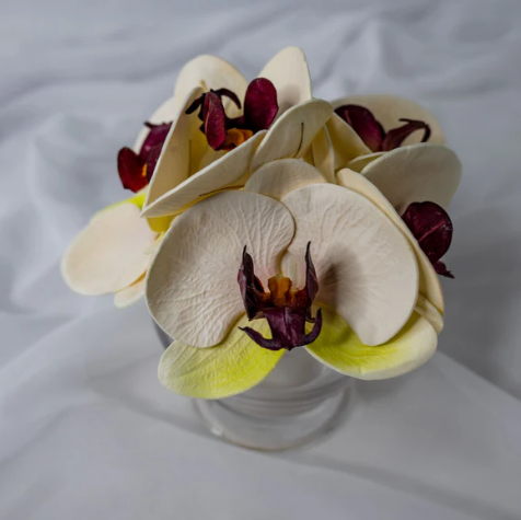 White, Pink and Green Phalaenopsis Flowerhead ( 6 Pack ) - Realistic Artificial Flowers