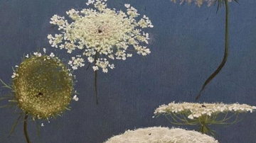 Main Content Image