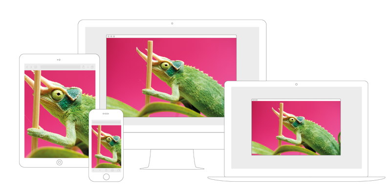 Responsive image on mobile devices, laptop, and desktop