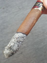 Nice Ash