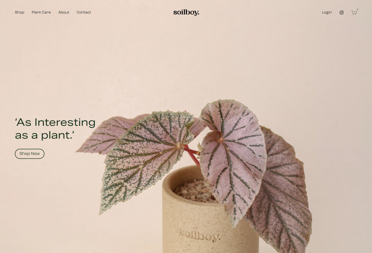 Screenshot of Soilboy, from the squarespace websites  collection.