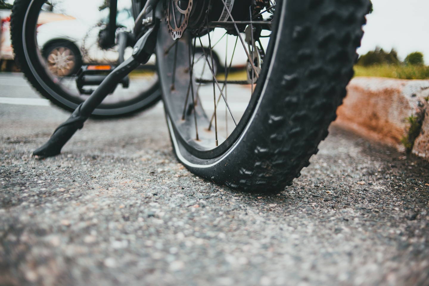 mountain bike elettrica