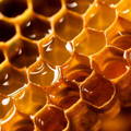nectar-deposited-in-honey-comb-before-sealing
