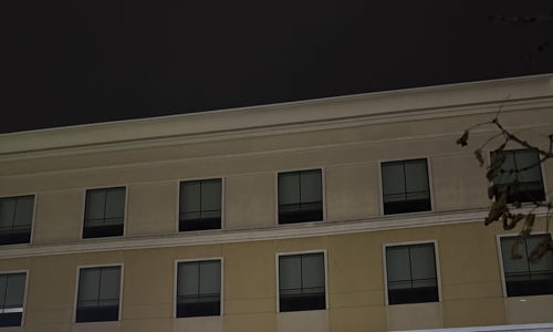 Banner for "Elf 'N Good Times" bar and grill, decorated for Christmas with lights, evoking joy, comfort, and nostalgia.